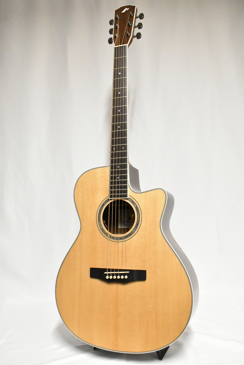 Morris R-14G NAT(ナチュラル) 【国産エレアコ】（新品）【楽器検索