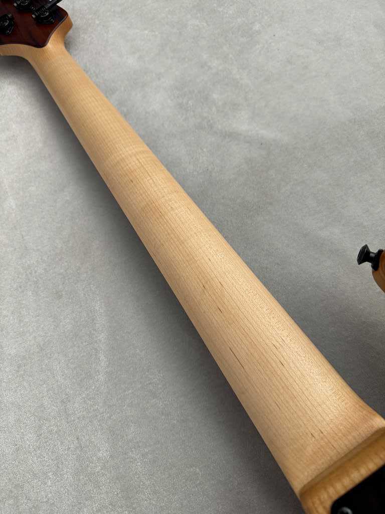 Wood Custom Guitars Vibe-5 -Buckeye Burl-【USED】（中古）【楽器