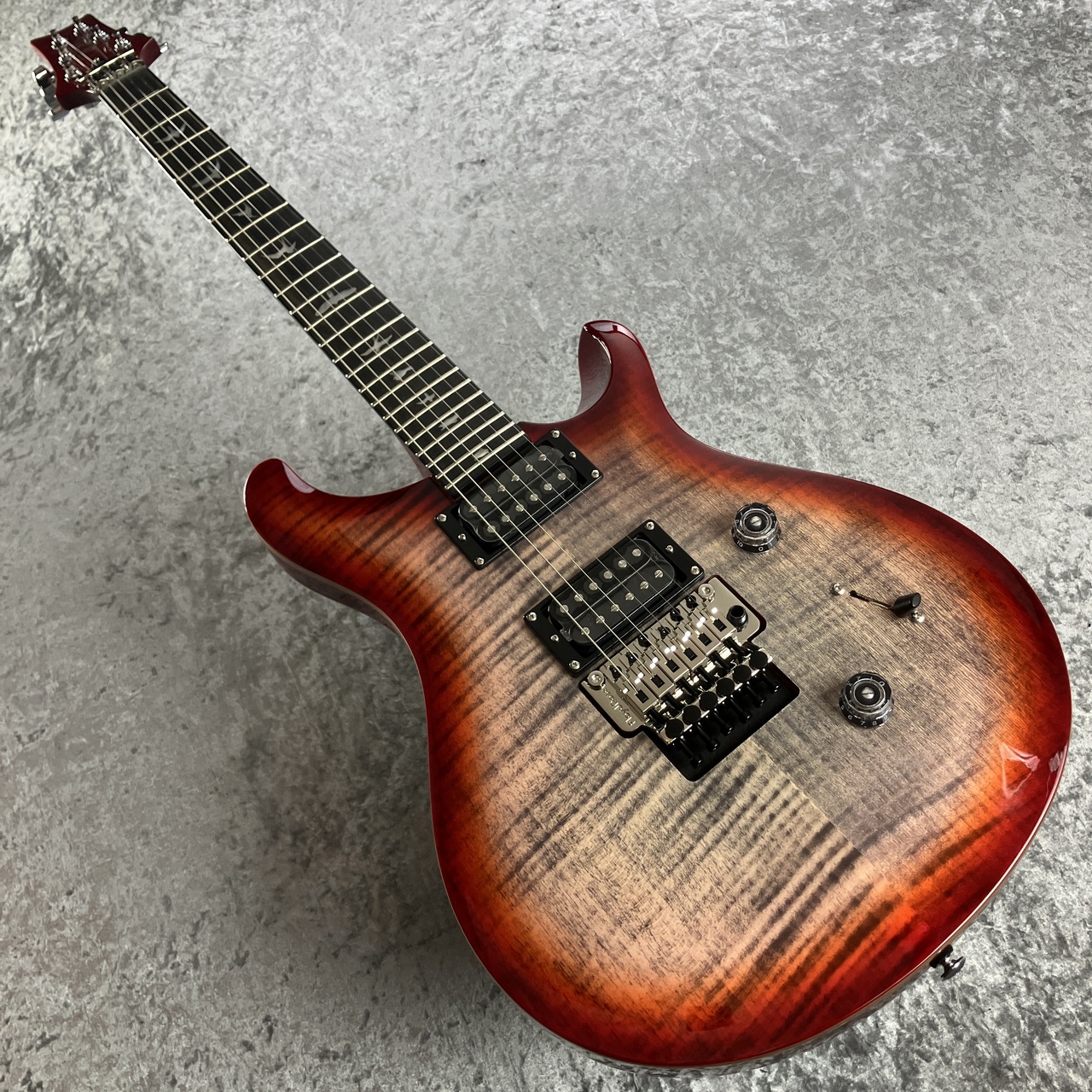 Paul Reed Smith(PRS) SE Custom 24 