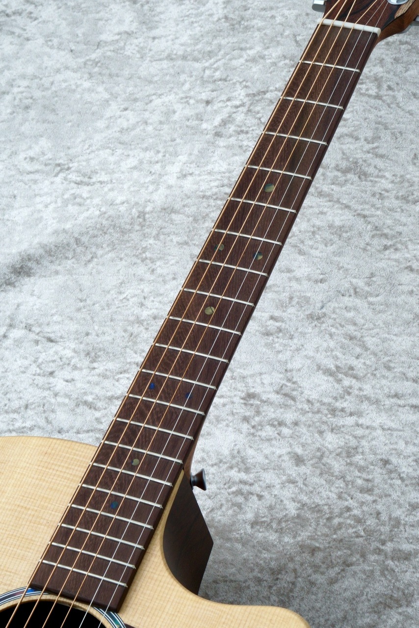Martin GPC-X2E COCO #3084985【スプルーストップ単板/HPLボディ