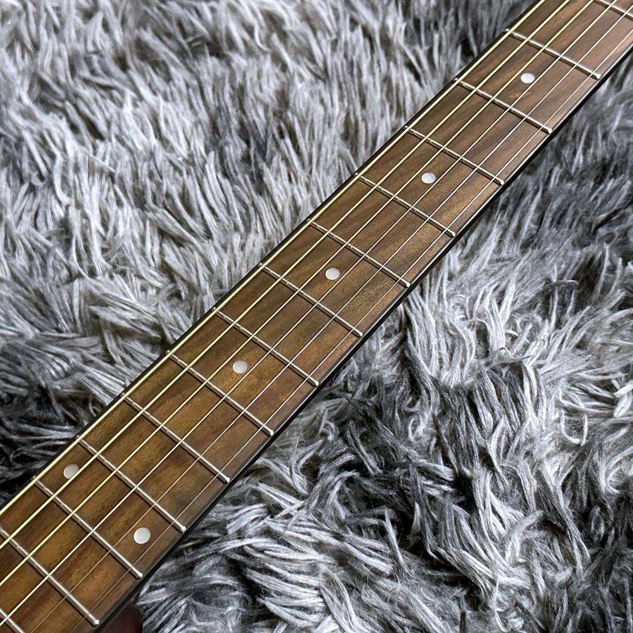Morris F-1 2025 Renewed Series BS -Performers Edition-（新品/送料