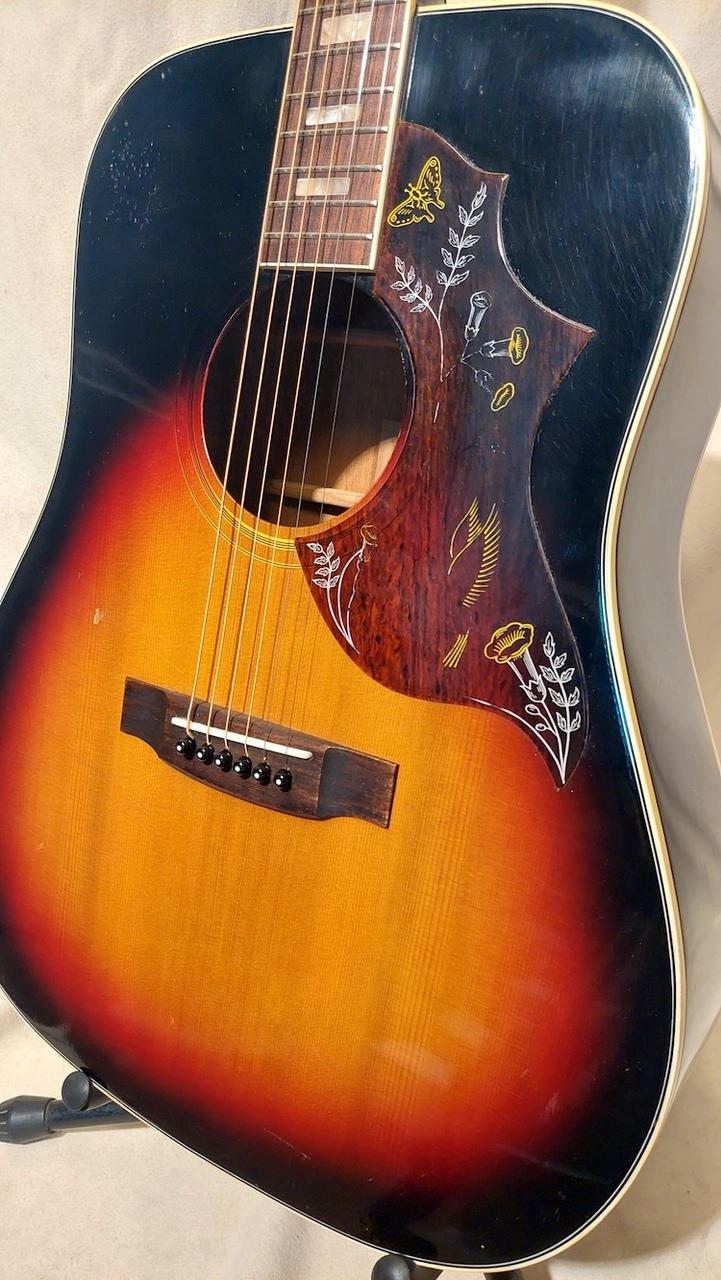 満点の CANDA 202（中古）【楽器検索デジマート】 ギター