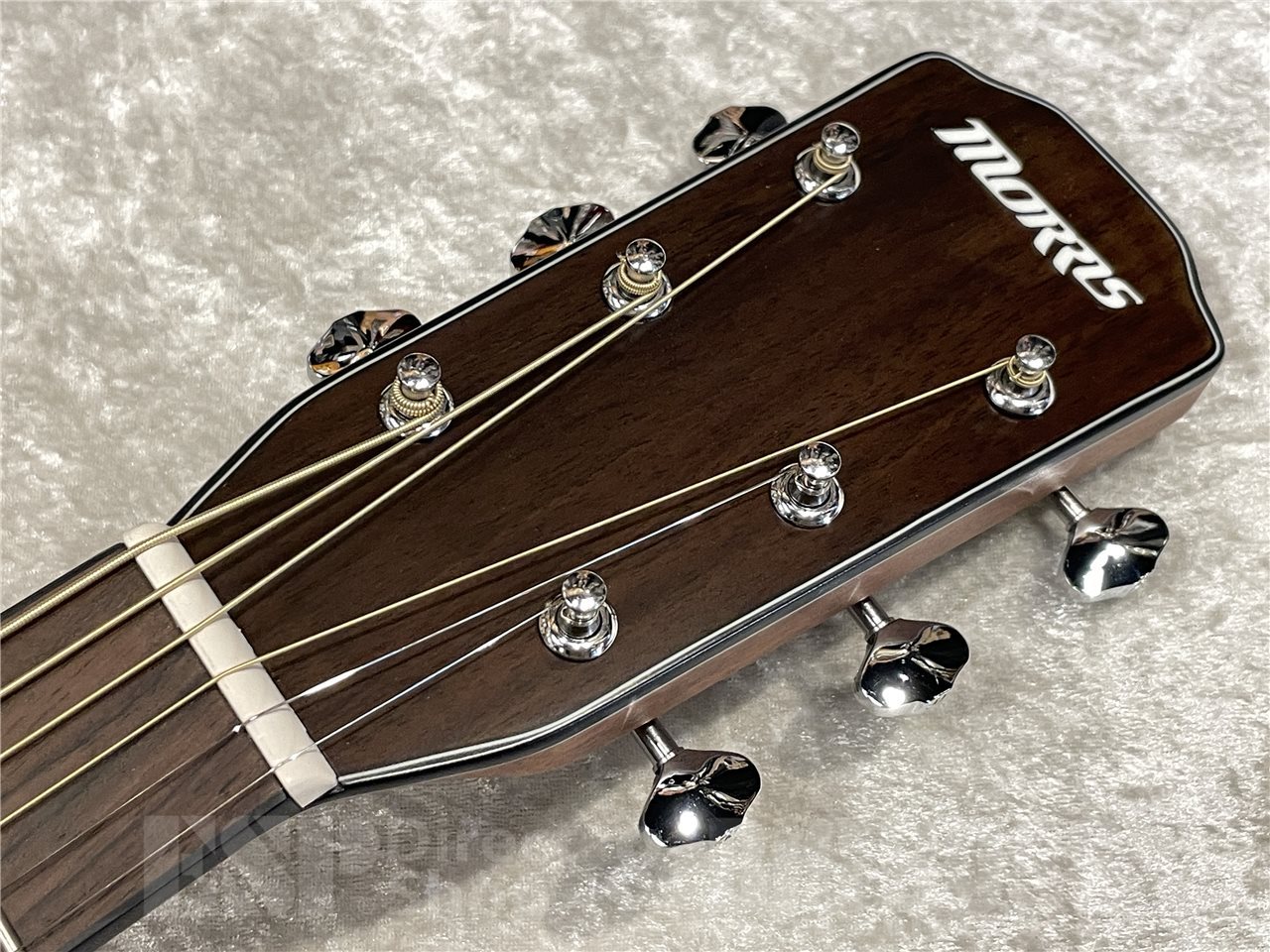 morris F-001TS　モーリス　アコースティック　ギター F-1 | PERFORMERS EDITION | MORRIS GUITARS モーリスギター