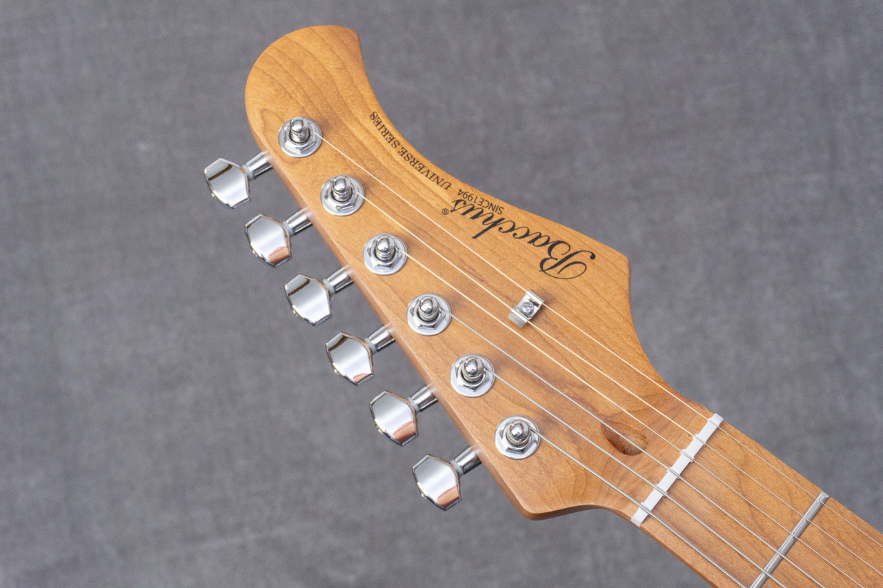 Bacchus BTE-1DX RSM/M IBM【GIB兵庫】（新品/送料無料）【楽器検索