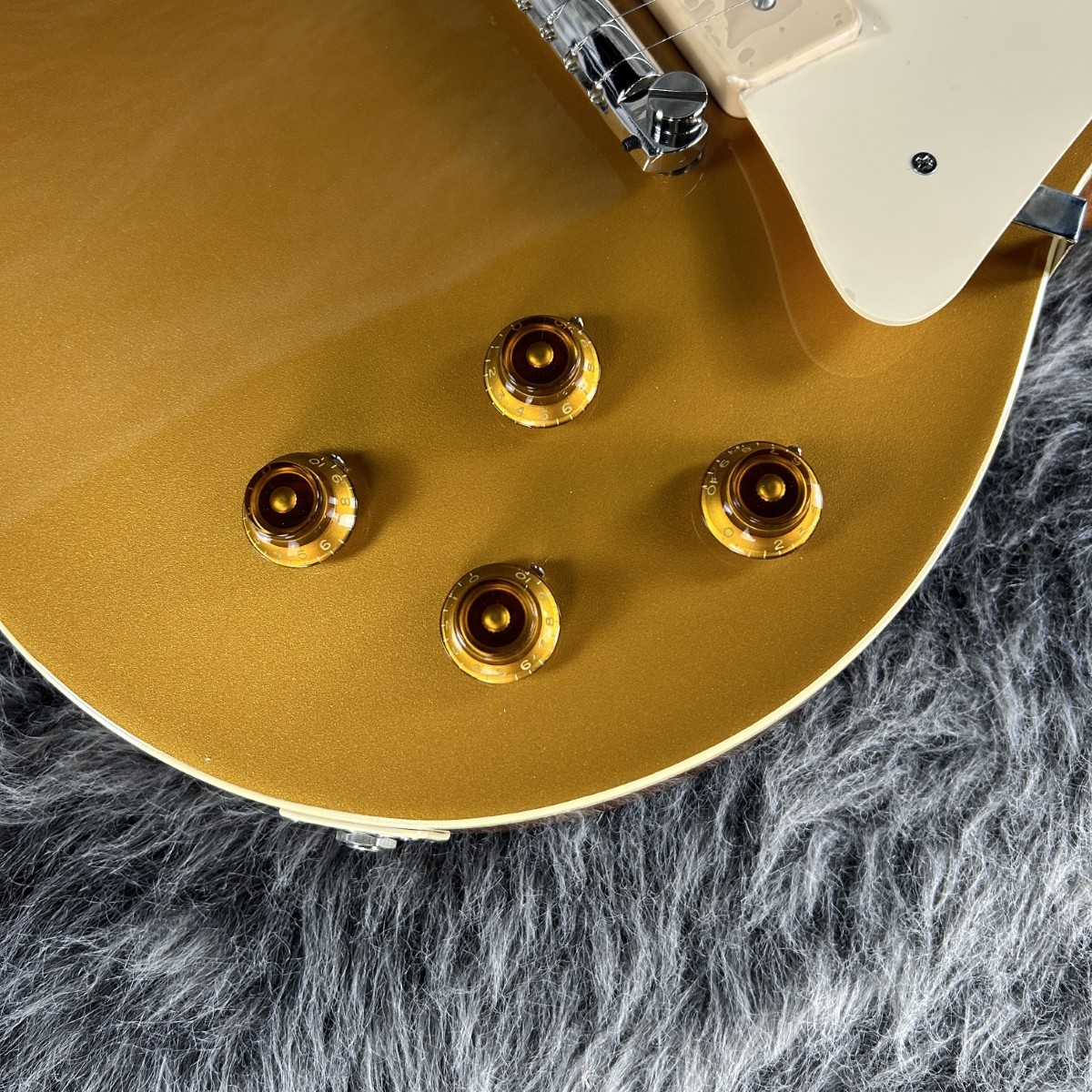 Tokai LS-101S/WA GT（新品/送料無料）【楽器検索デジマート】