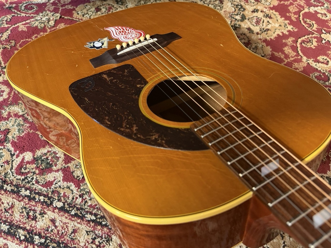 Epiphone 【USED】 Paul McCartney Texan FT-79 【2005年製】 【試奏