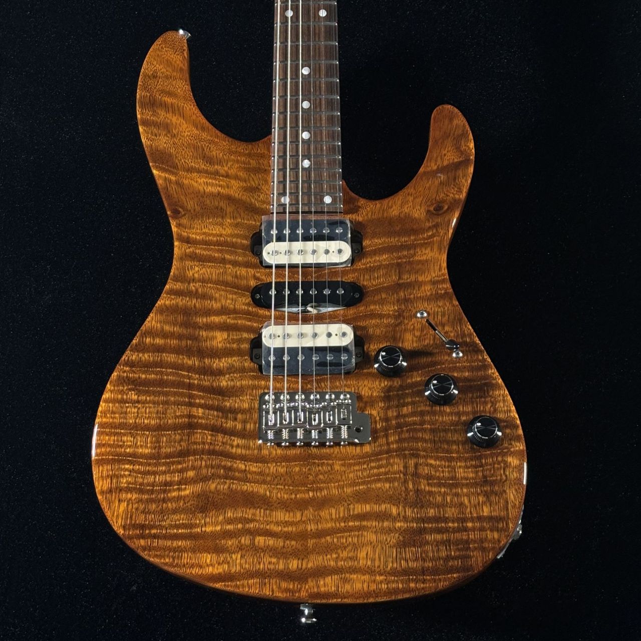 FREEDOM CUSTOM GUITAR RESEARCH OS EZa 24F FT HSH 晩秋【選定材Top
