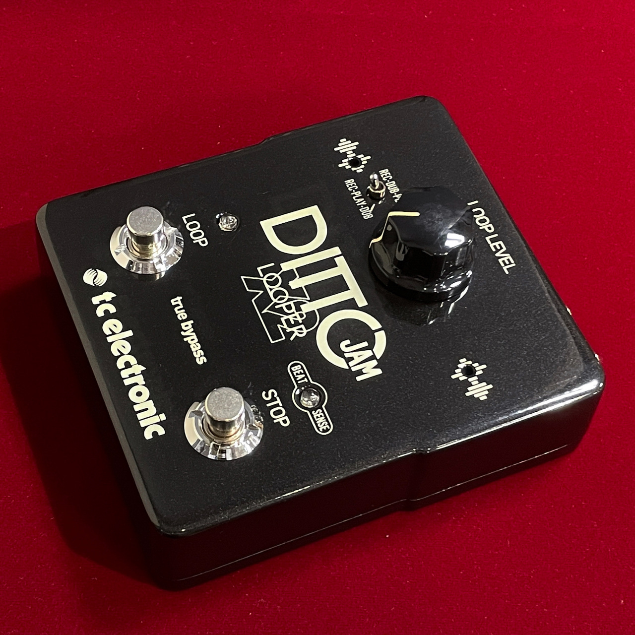 tc electronic DITTO JAM X2 LOOPER 【在庫入替特価・限定1台】【送料