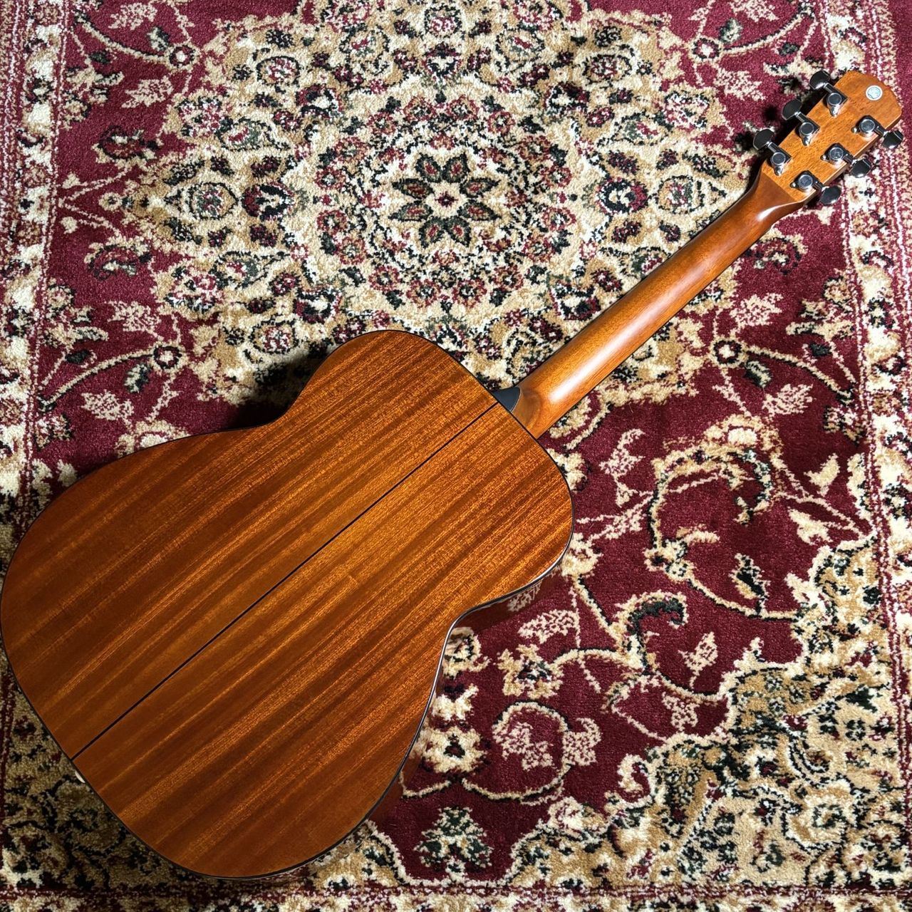 Morris F-251 【現物写真】（中古/送料無料）【楽器検索デジマート】