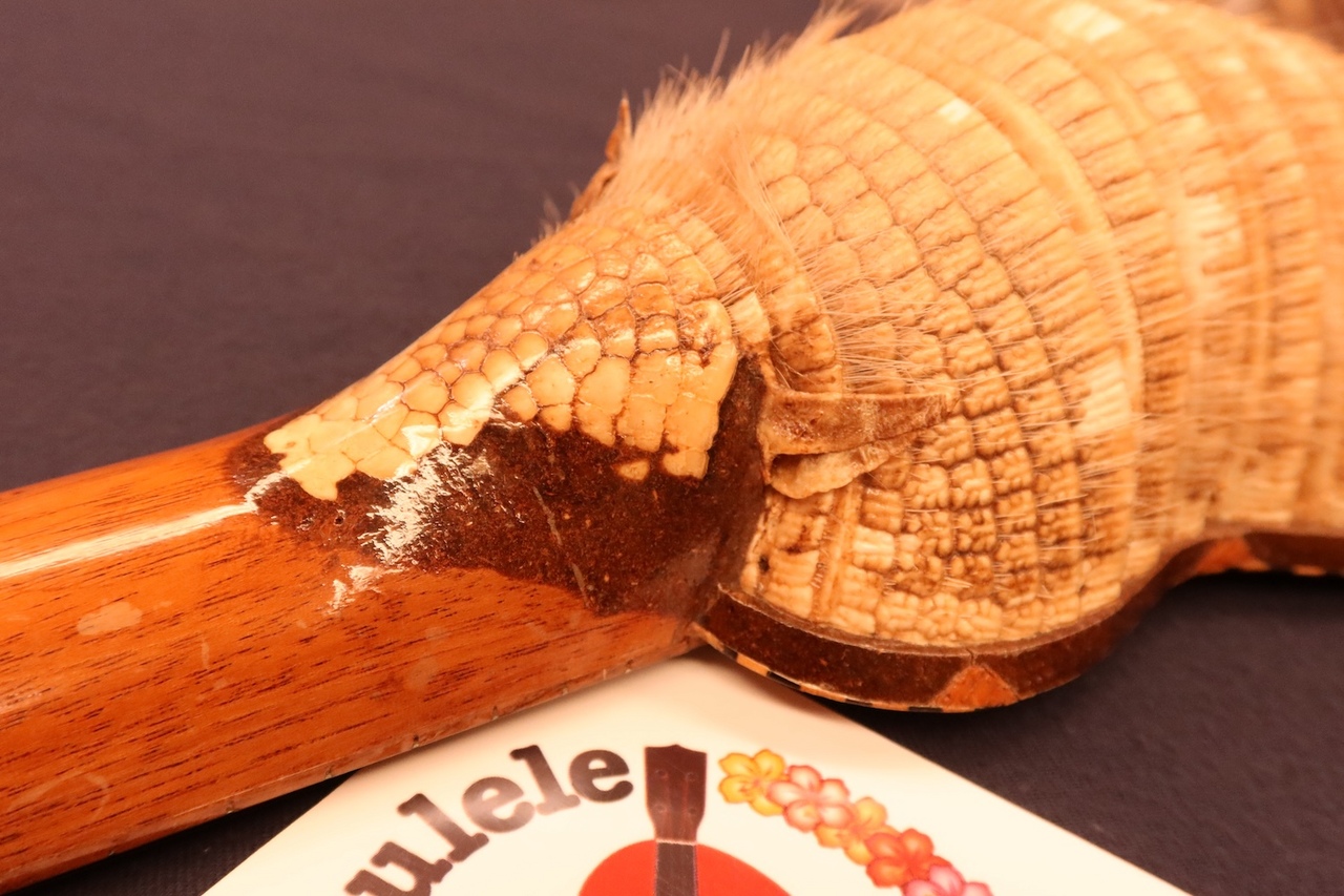 【骨董】チャランゴ 71iQjZ7YnvL._AC_UF350,