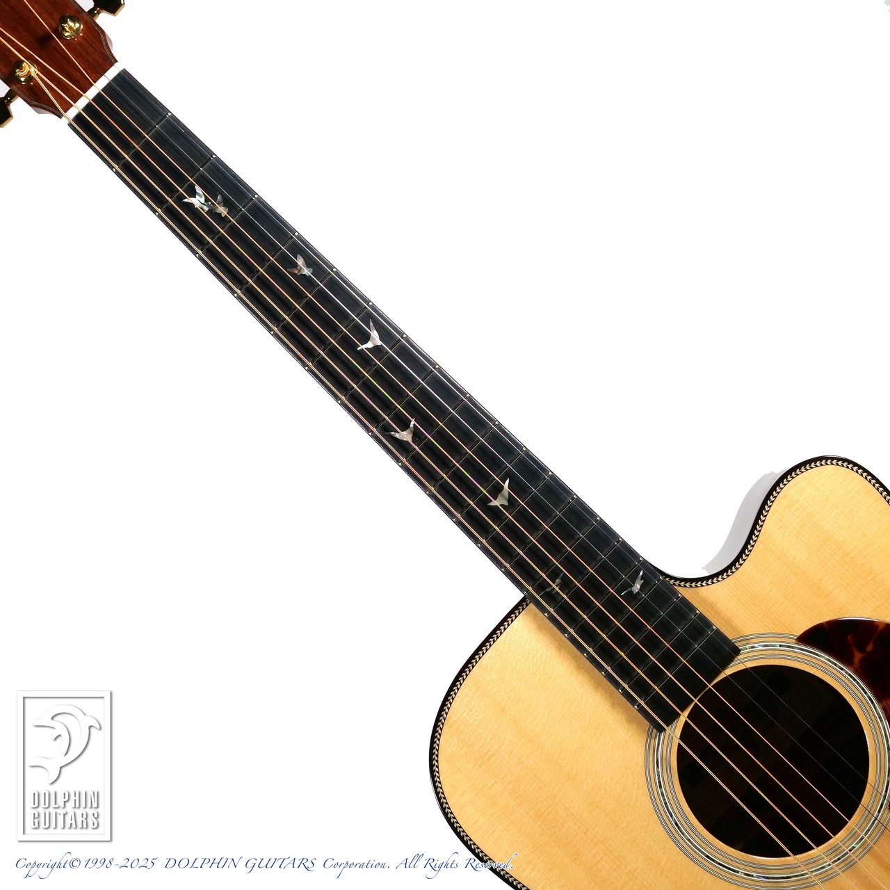 GREVEN Oshio-DC HR（新品）【楽器検索デジマート】