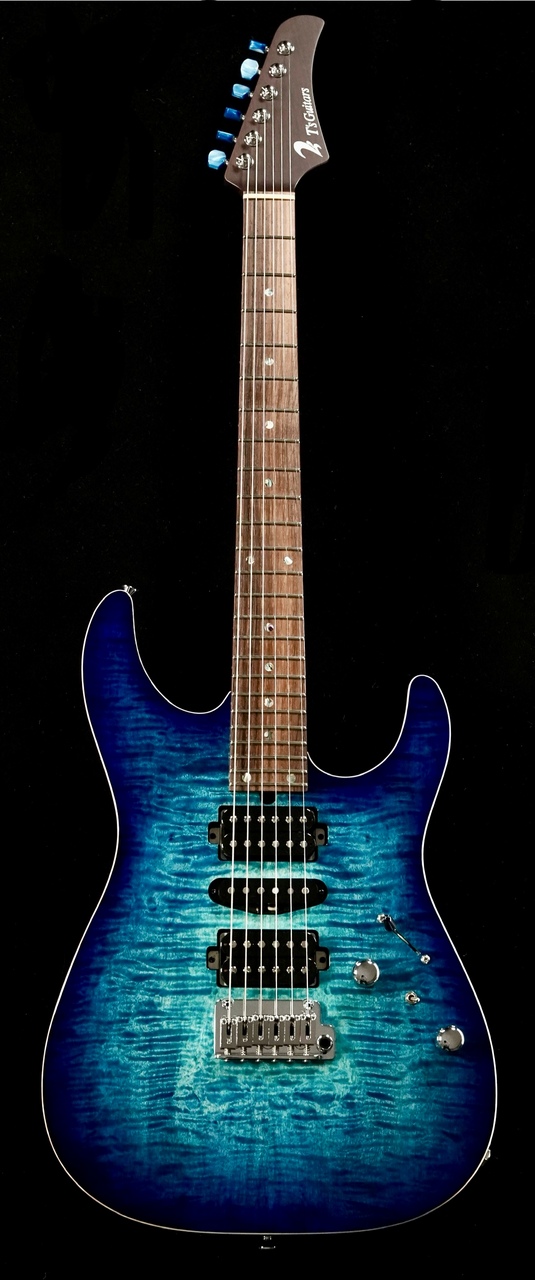 T’s guiters DST-24 order DST-Pro24 · T's Guitars