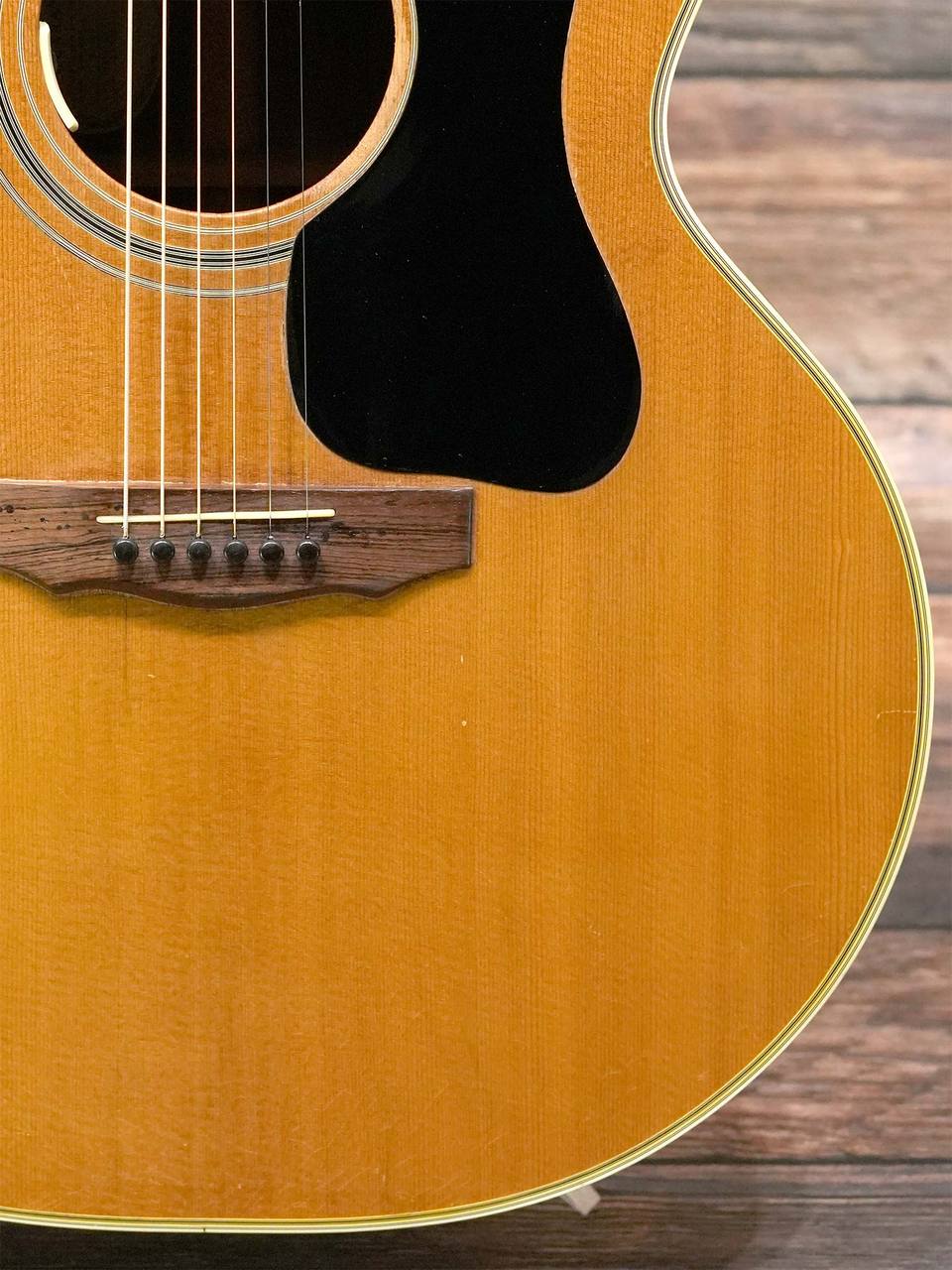 アコースティックギター　guild Guild Acoustic Guitars｜Guildアコースティックギター