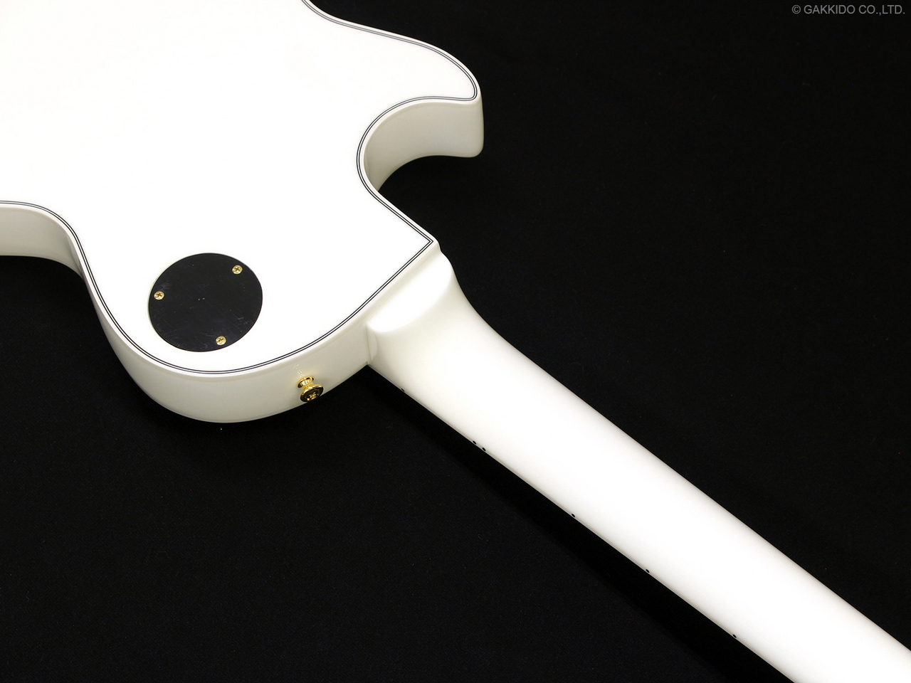 EDWARDS E-LP-CTM 