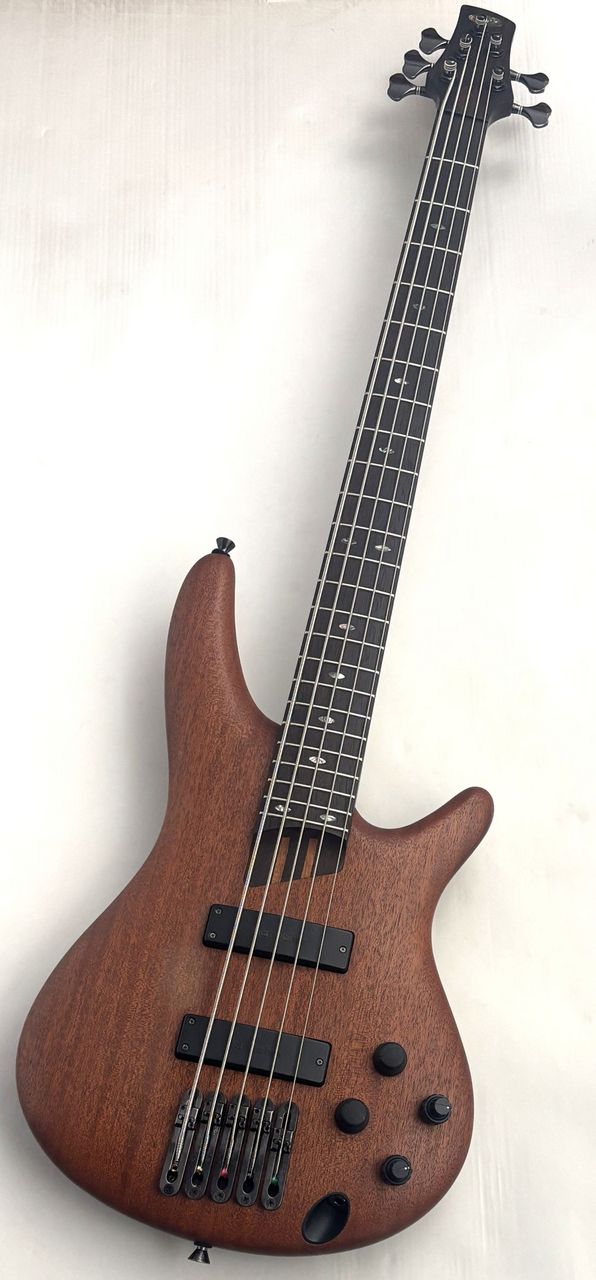 SR3005E | Ibanez Wiki | Fandom