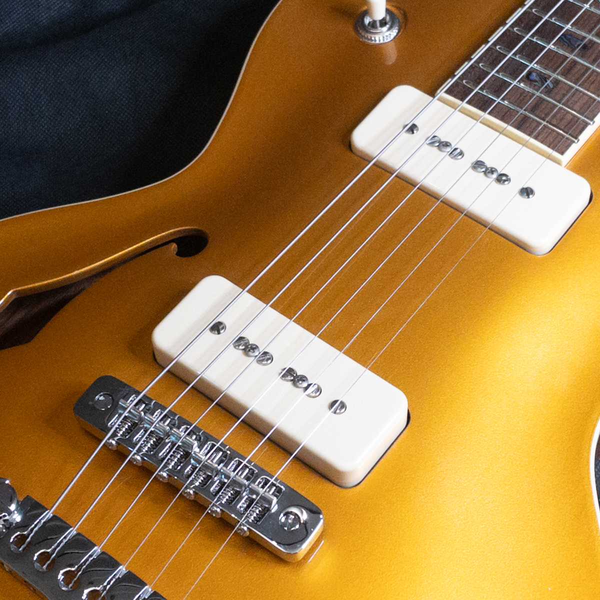APII PE-5450CR/SH GD(Gold)（新品特価）【楽器検索デジマート】