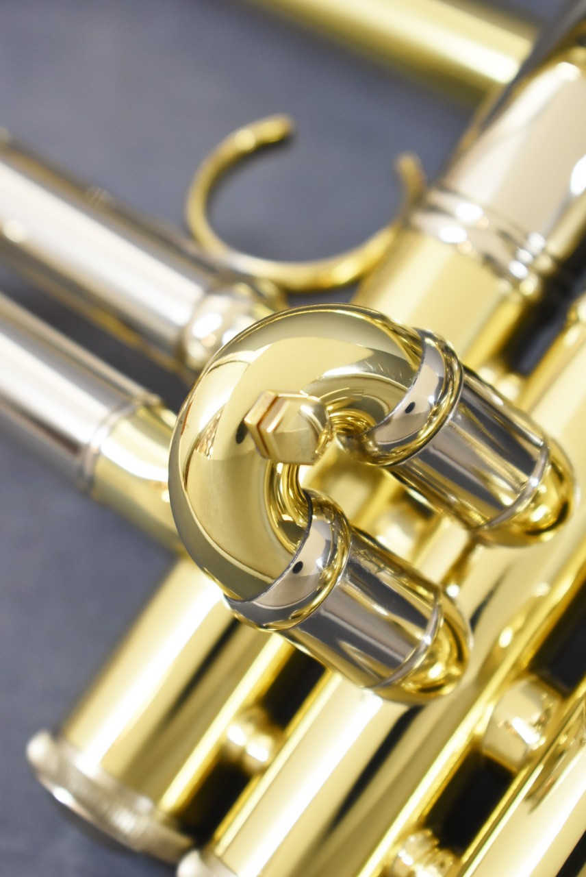 V.Bach AB190GL 