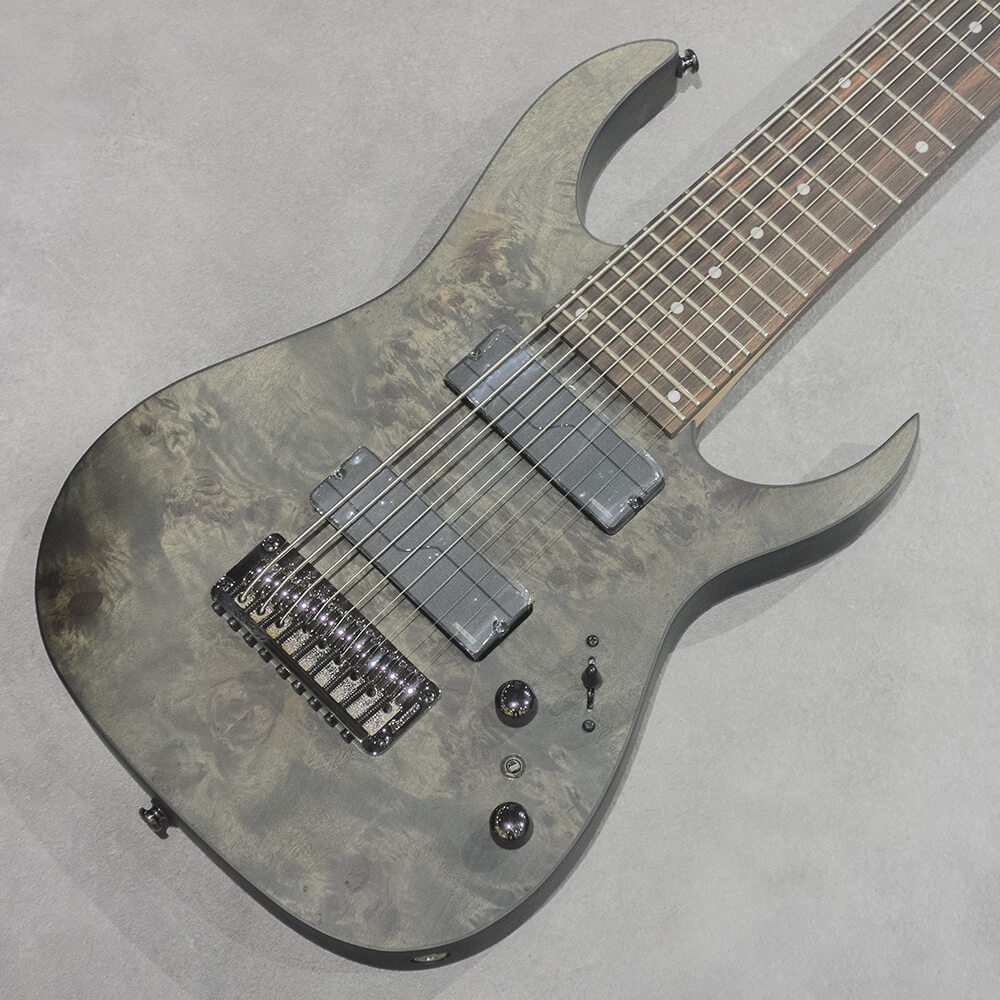 Ibanez RG370PBZ-TGF　限定エレキギター　専用ケース付き Ibanez RG370PBZ-TGF 限定エレキギター 専用ケース付き 楽器・機材