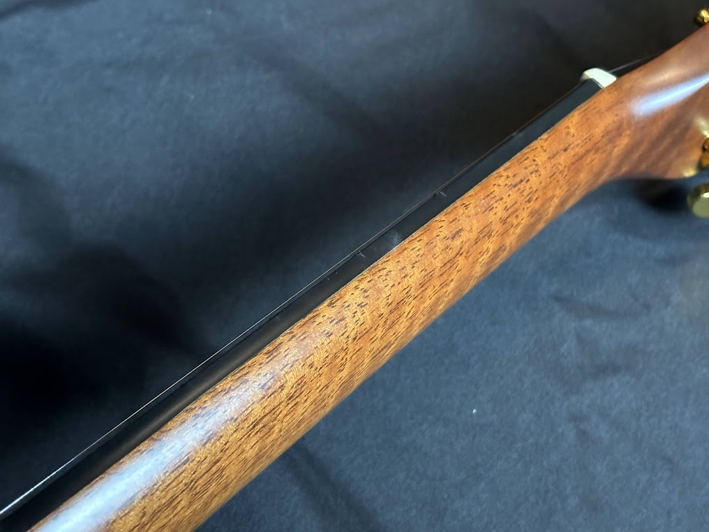 Stafford SF-200D（中古/送料無料）【楽器検索デジマート】