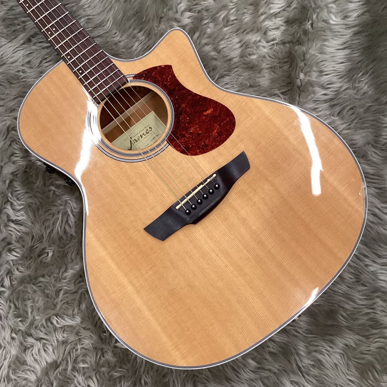 James J-300C NAT エレアコ （本体エフェクト付き） James J-300C Natural エレアコ 生音にエフェクト