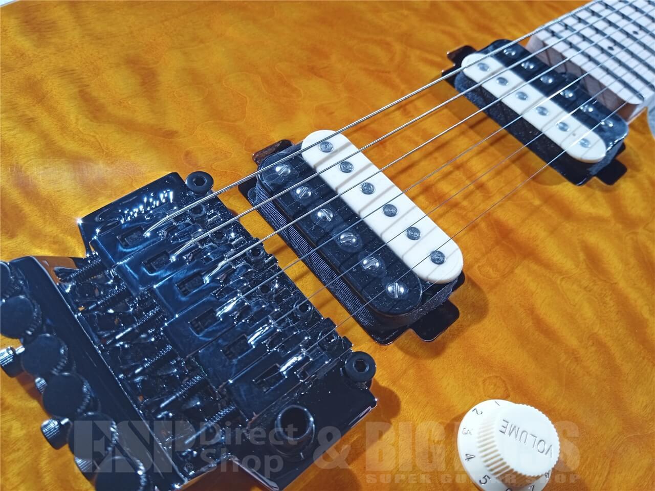Sterling by MUSIC MAN AXIS AX40 (Trans Gold)（新品/送料無料