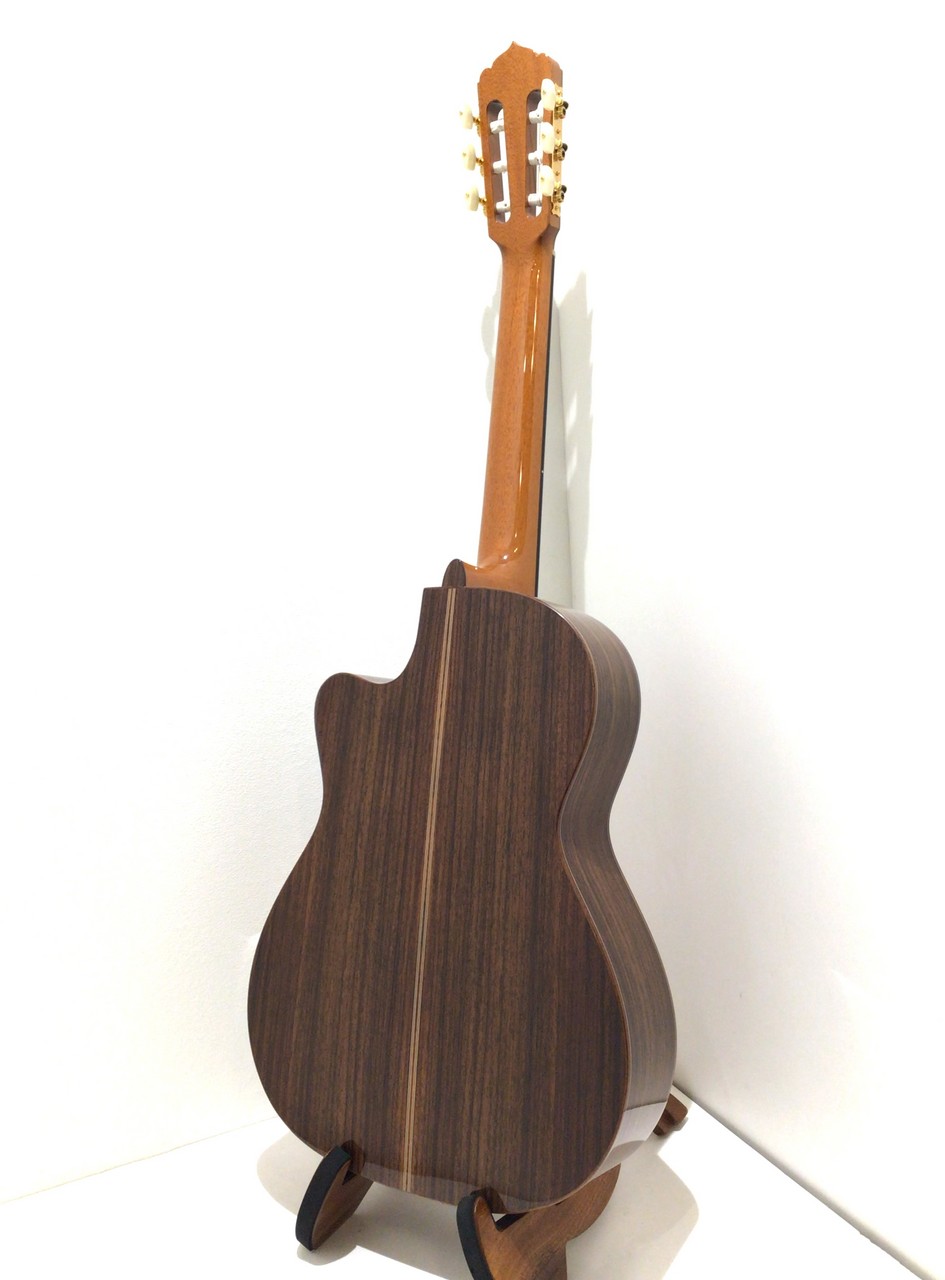 アストリアス　ビンテージC 60周年記念モデル第三弾 Renaissance Vintage C - ASTURIAS