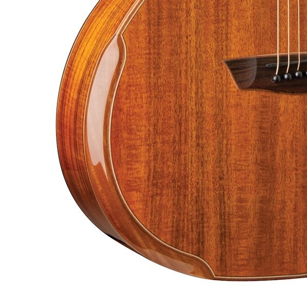 Washburn Comfort Series G55ce Koa Natural ワッシュバーン 【池袋店