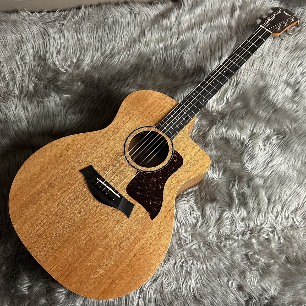 Taylor 24ce【現物画像】【最大36回分割無金利 実施中】（新品/送料