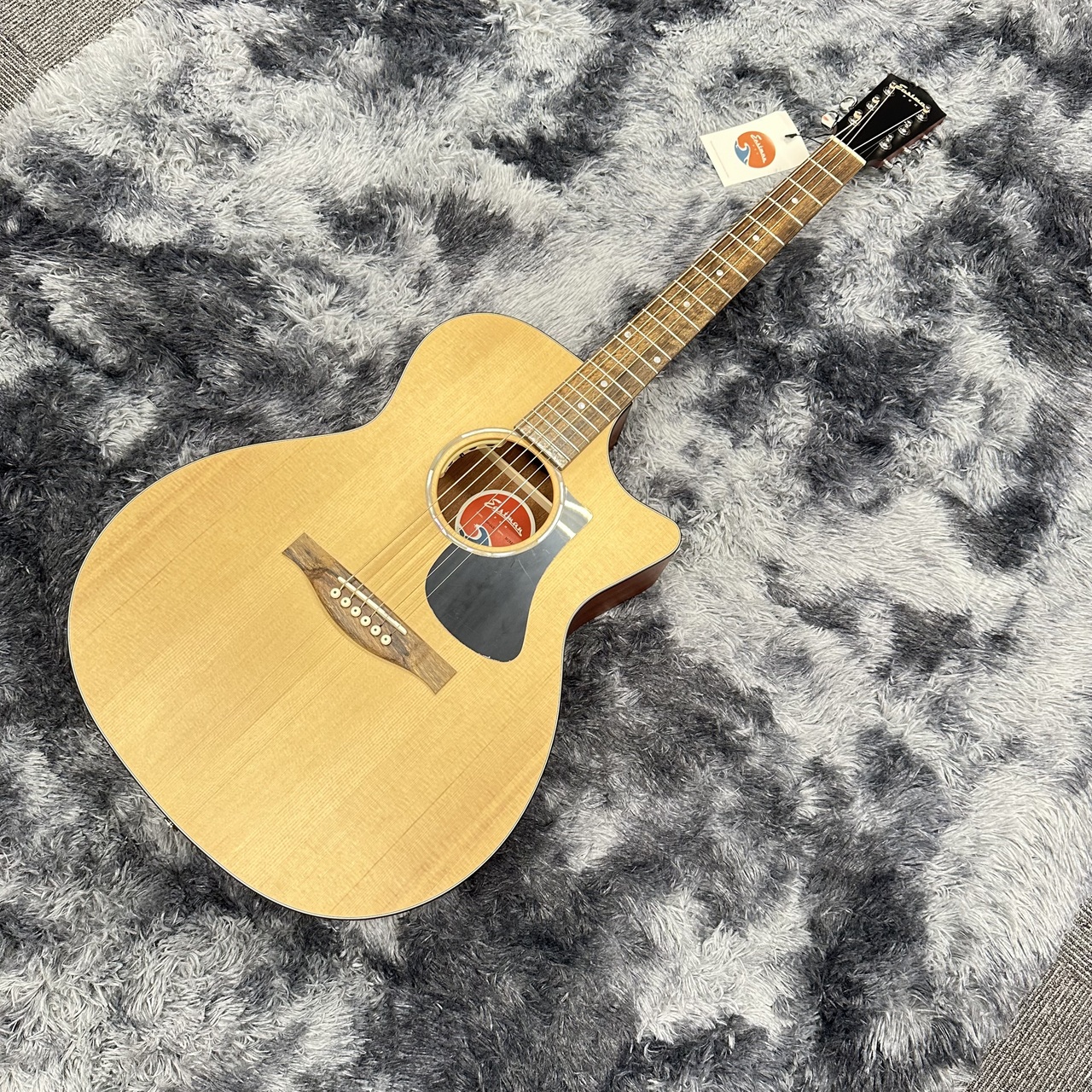 Eastman PCH1-GACE TC 【注目を集めているイーストマンのアコース