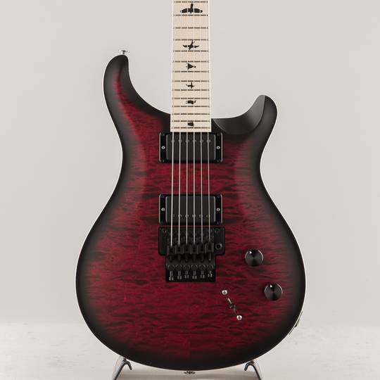 Paul Reed Smith(PRS) Dustie Waring CE24 Floyd Waring Burst