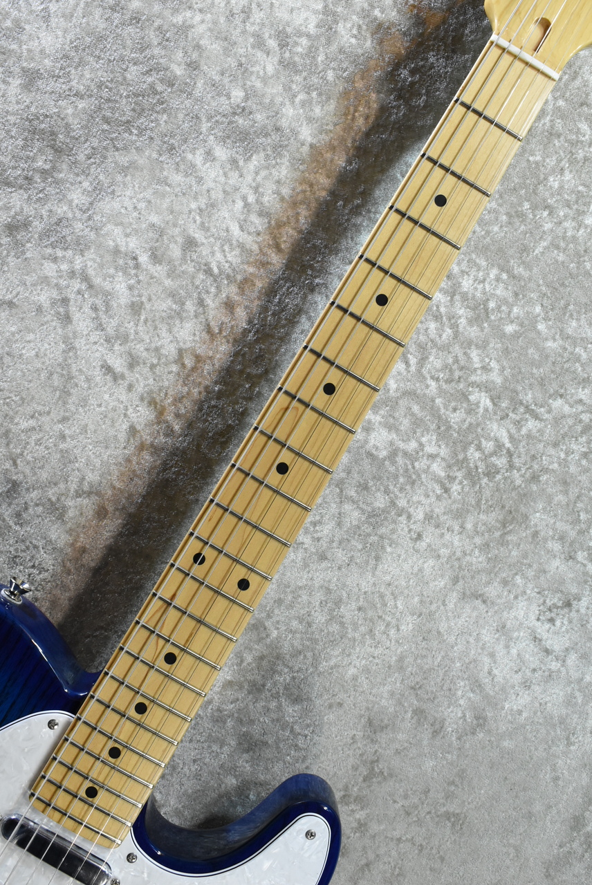 FUJIGEN(FGN) NTE100MAH See-Thru Blue Burst #A240832【3.67kg