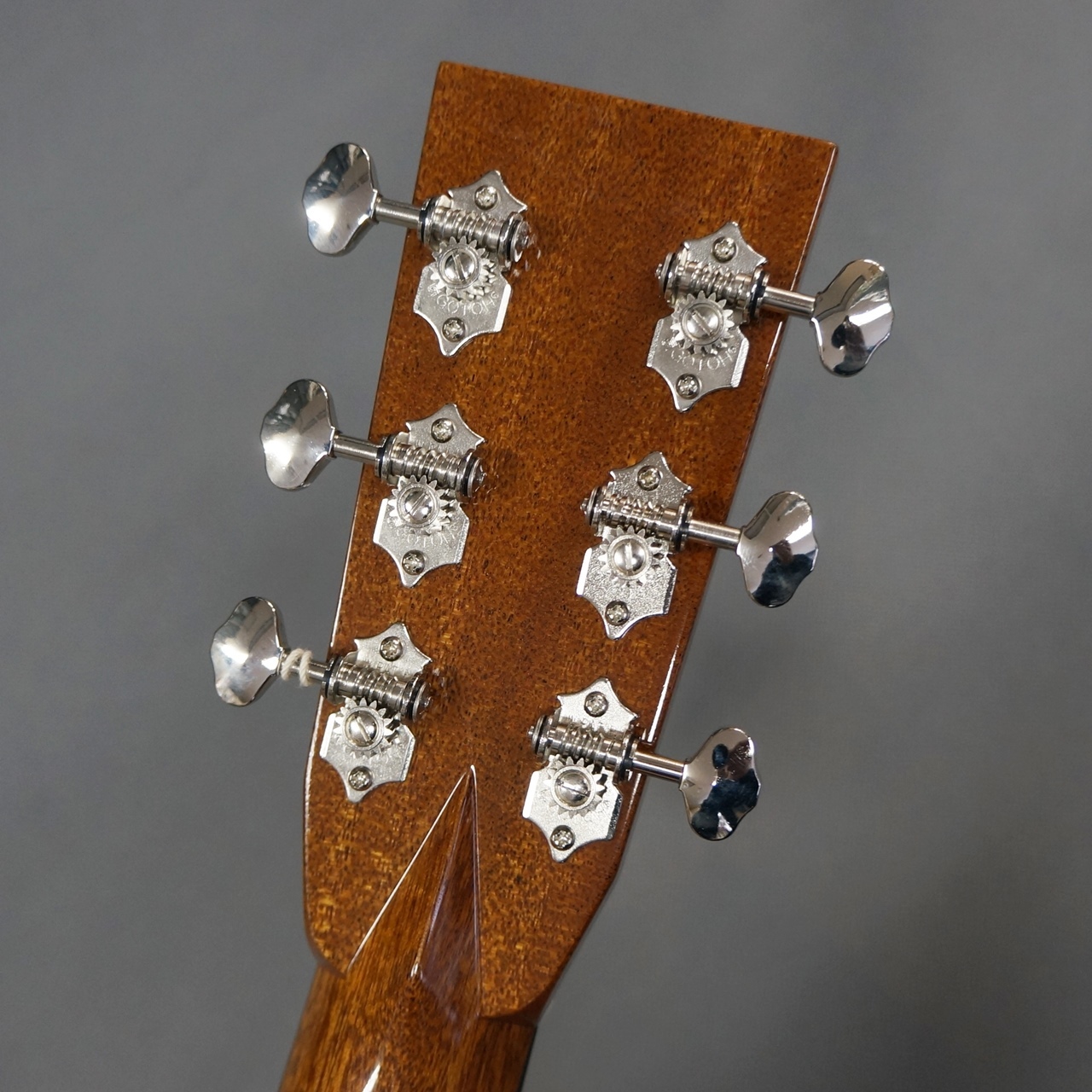 ASTURIAS D. Custom（新品）【楽器検索デジマート】
