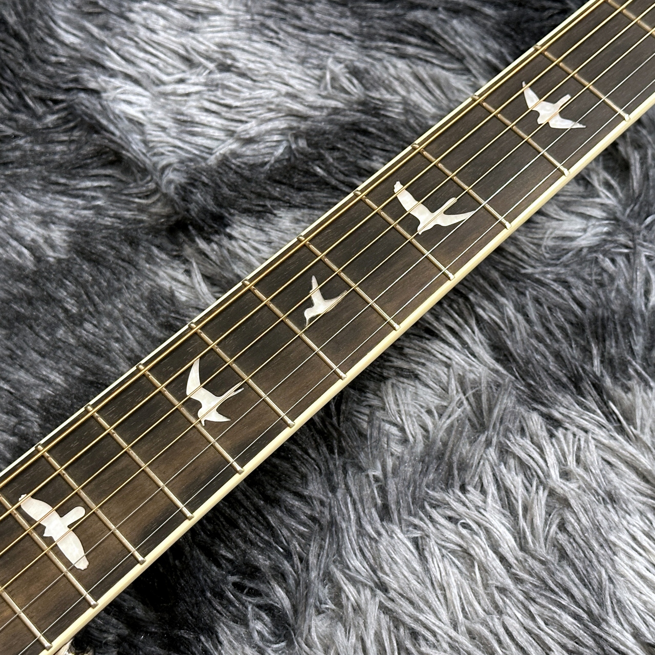 Paul Reed Smith(PRS) SE P20E Parlor Satin Black Top【特価