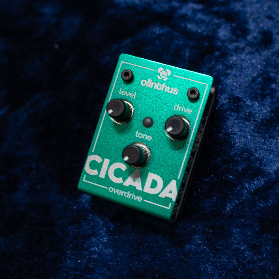 Olinthus CICADA（新品/送料無料）【楽器検索デジマート】