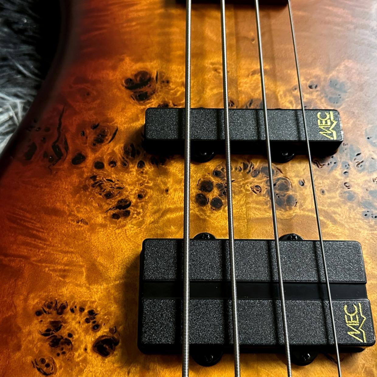 Warwick Teambuilt Streamer LX 4-string Limited Edition 2025 Honey