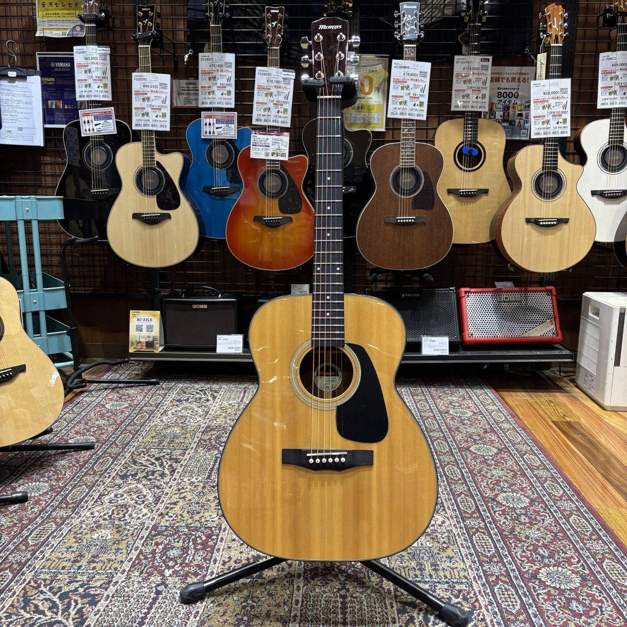 Morris アコースティックギター 中古品 Morris F251【現物写真】（中古）【楽器検索デジマート】