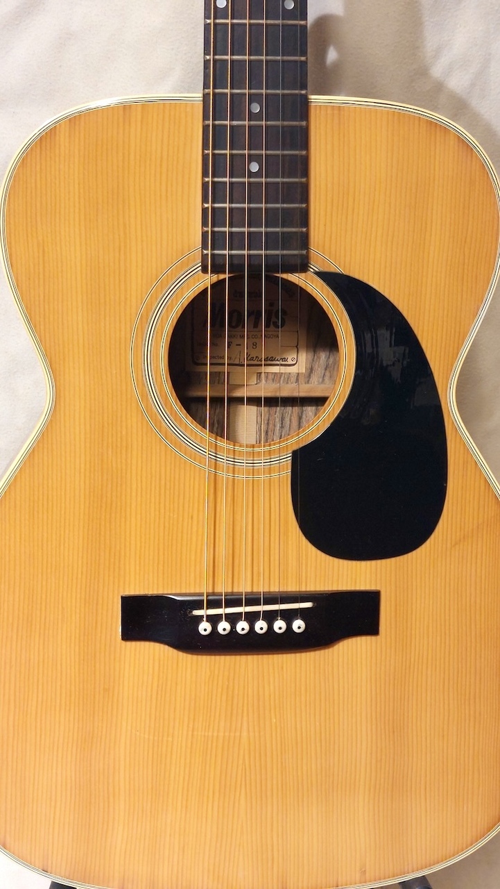 Morris F-18（中古）【楽器検索デジマート】