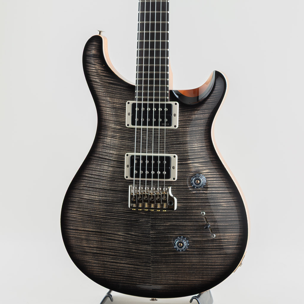 Paul Reed Smith(PRS) Custom 24 Birds of a Feather Limited - PS