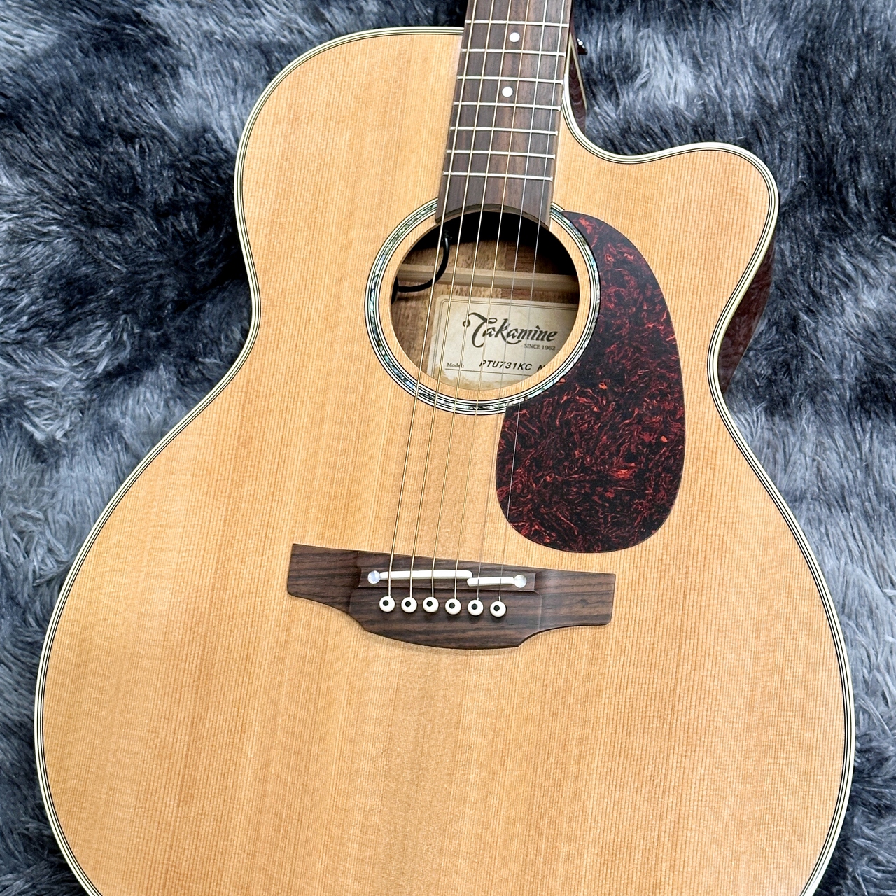 タカミネ　アコースティックギター ソフトケース付き　PTU731KC N Takamine PTU731KC N タカミネ エレアコ・ギター ギグバッグ付属