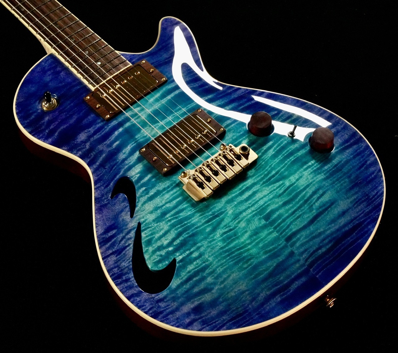 ESP LTD Ted Aguilar TED-EC Electric Guitar - Black | Sweetwater