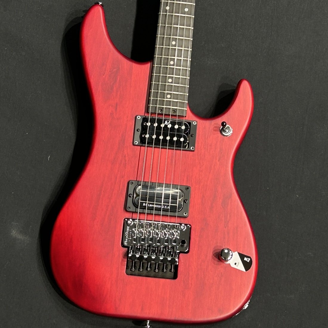 Washburn N2 NUNO Padauk（新品）【楽器検索デジマート】