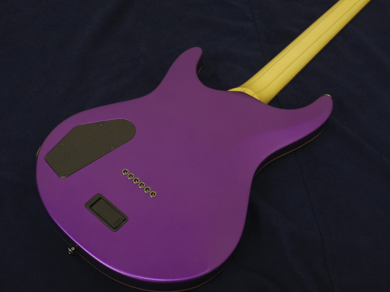 ◇ FUJIGEN ( FGN ) EEL-FM-DL-HH ELAN ◇ フジゲン 2H ロック式