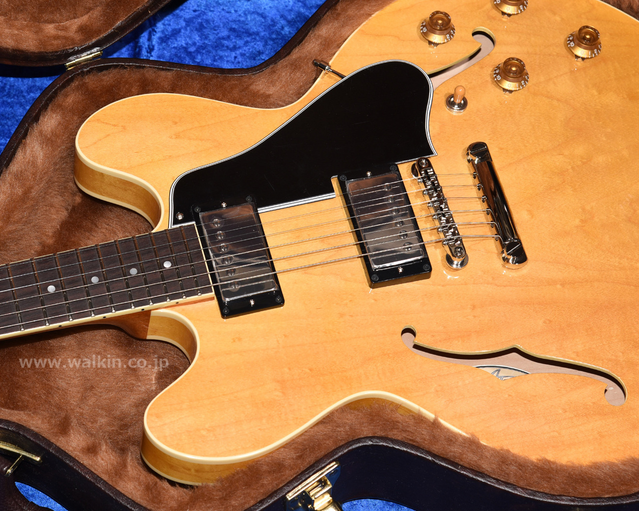 Archtop Tribute AT135STP（新品）【楽器検索デジマート】