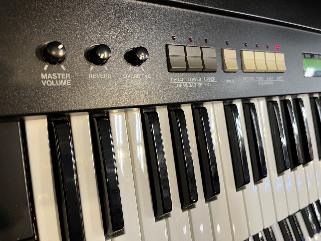 Hammond XB-1【中古】（中古）【楽器検索デジマート】