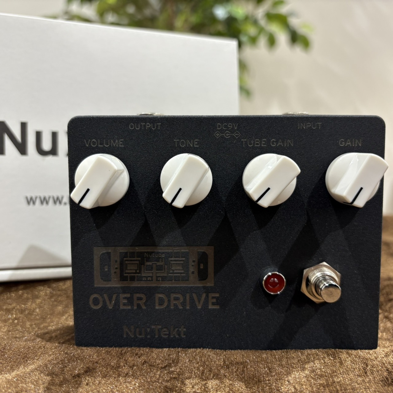 KORG 《完全数量限定 / 迅速発送！》OD-S BK スペシャルモデル