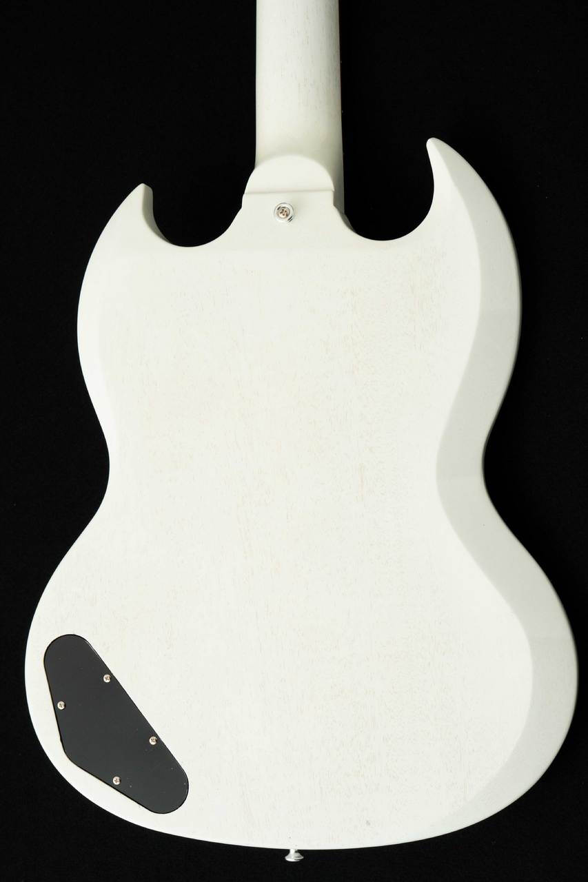 EDWARDS E-SG-JR-LTD -Antique White- #ED2532253 【数量限定生産