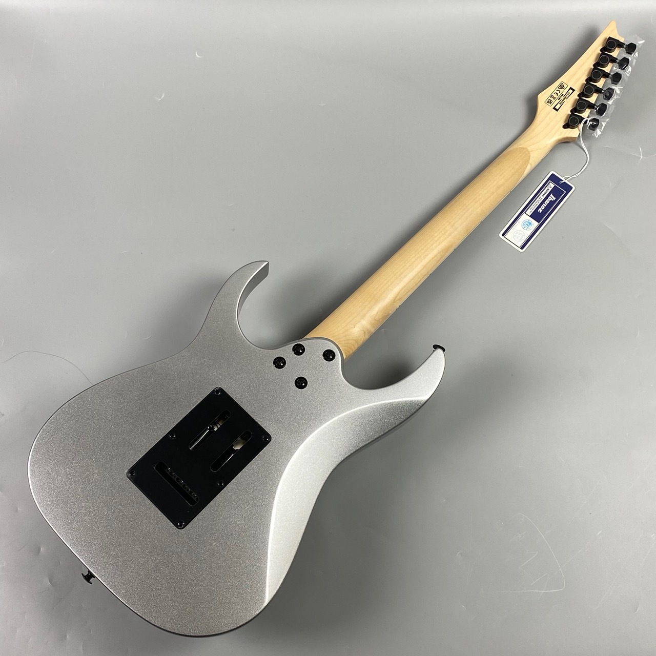 Ibanez RGV250 SV シルバー エレキギター 【現物写真】（新品