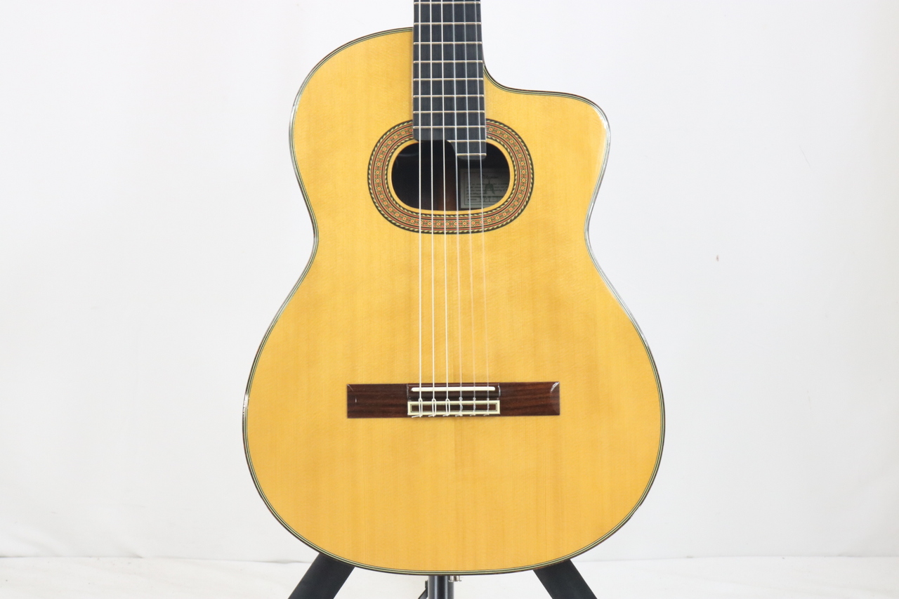 Takamine NPT-315（中古）【楽器検索デジマート】