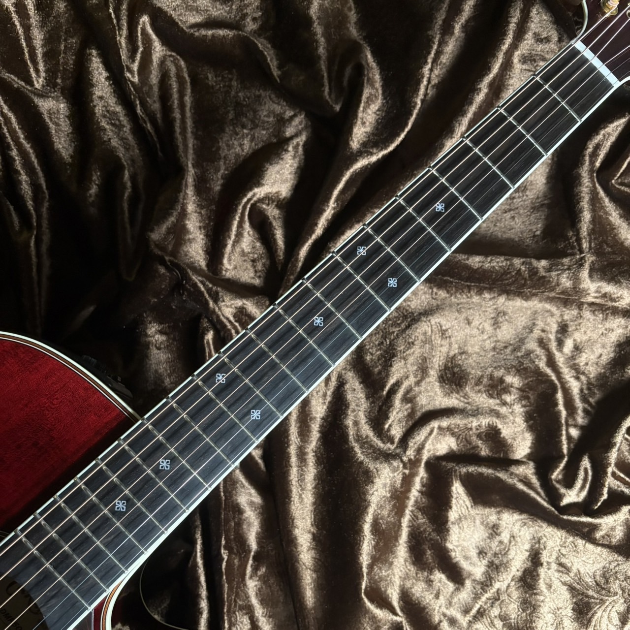 Takamine DMP50S WR（ワインレッド）【現物画像 / 当社限定モデル