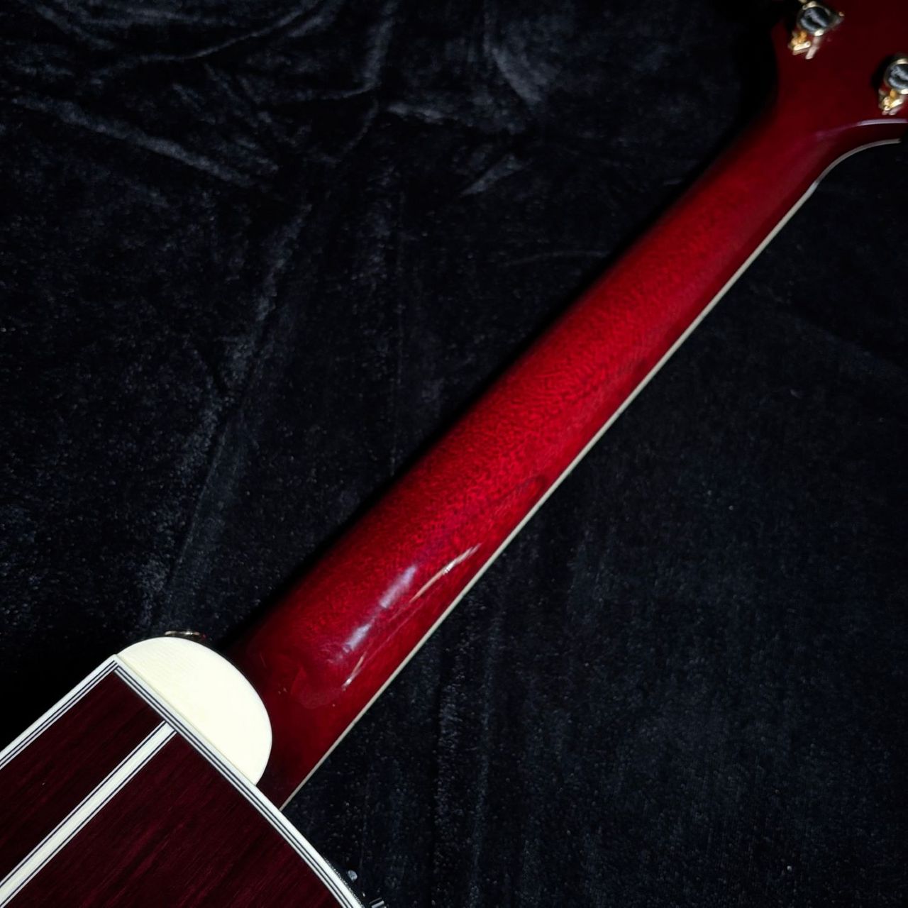 Takamine DMP50S WR【現物画像】エレアコギター セミハードケース付属